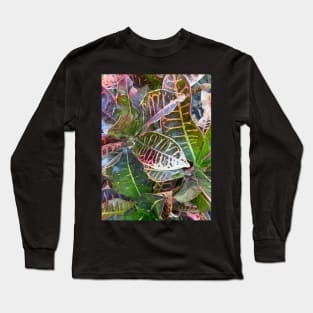 Bright Croton Long Sleeve T-Shirt